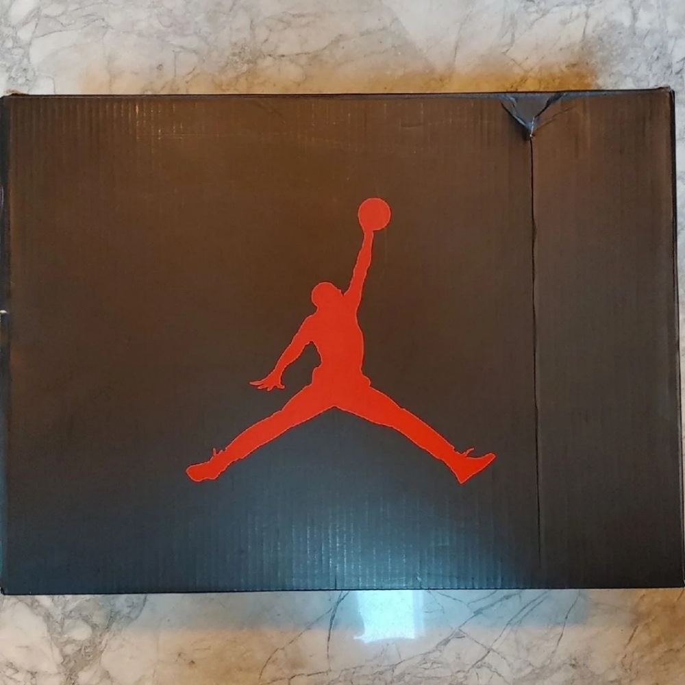 Jordan 6 Retro All Star 2017 "Chameleon" size 11.5 - Picture 2 of 10